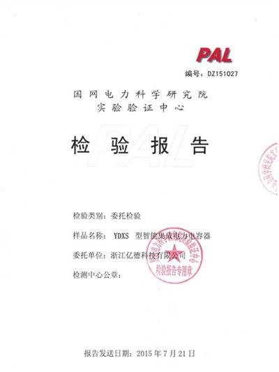 YDXS型電力電容器 檢驗報告