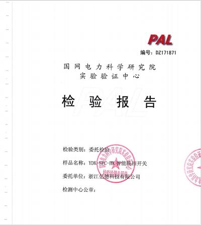 YDK-SPC-HX國(guó)家電網(wǎng)報(bào)告